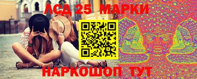индика Ярославль
