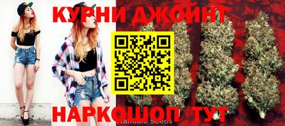 индика Ярославль