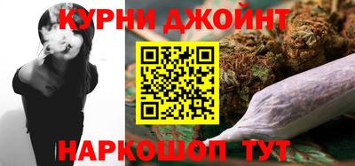 индика Ярославль