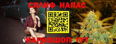 индика Ярославль